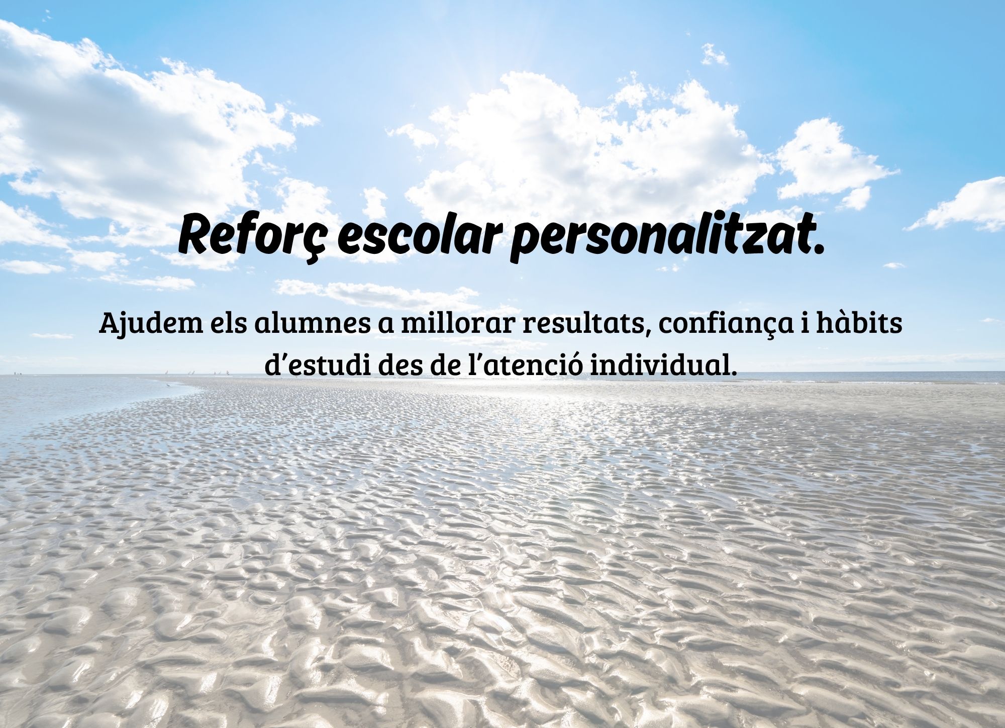 Reforç escolar personalitzat.